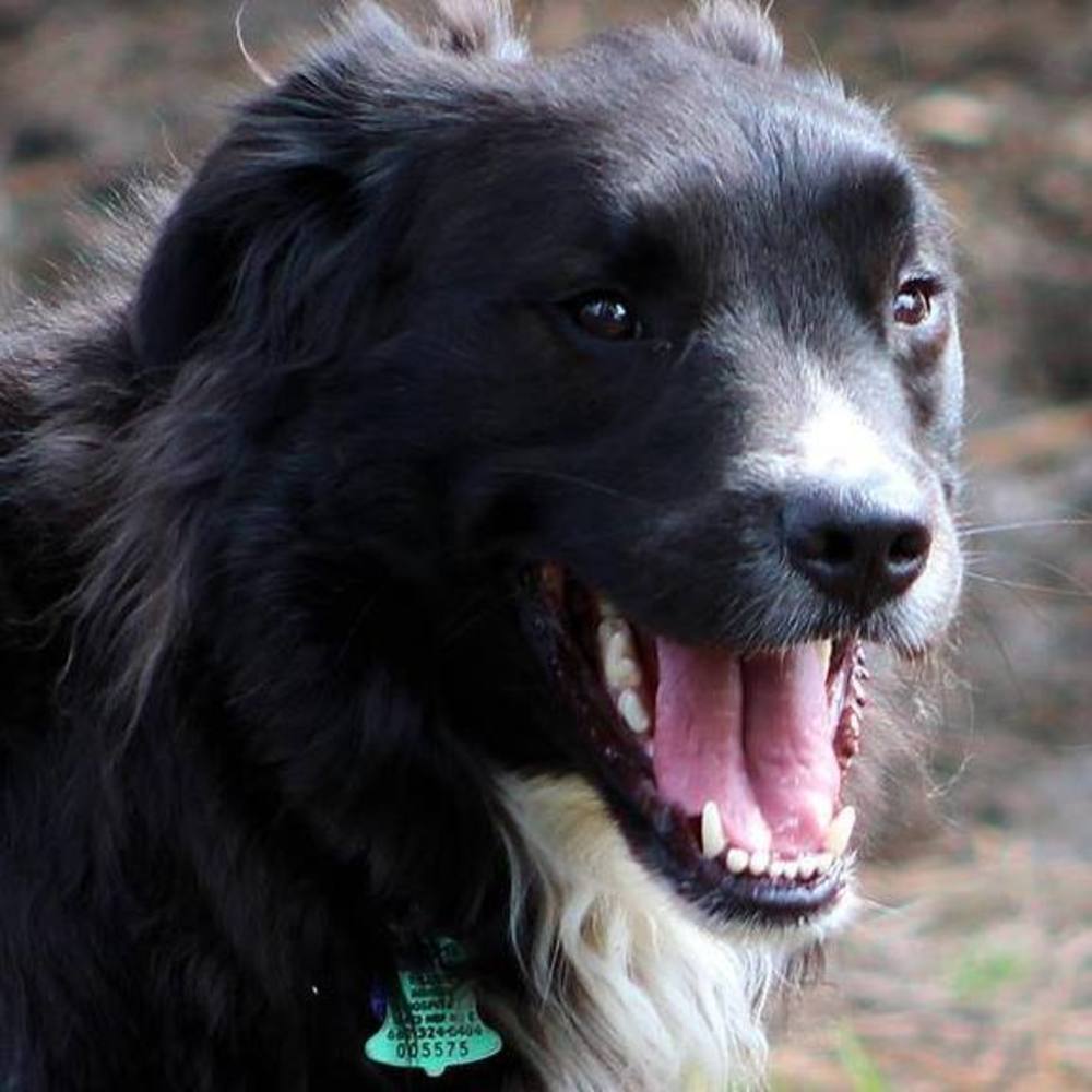 Meet your Posher, Carolyn